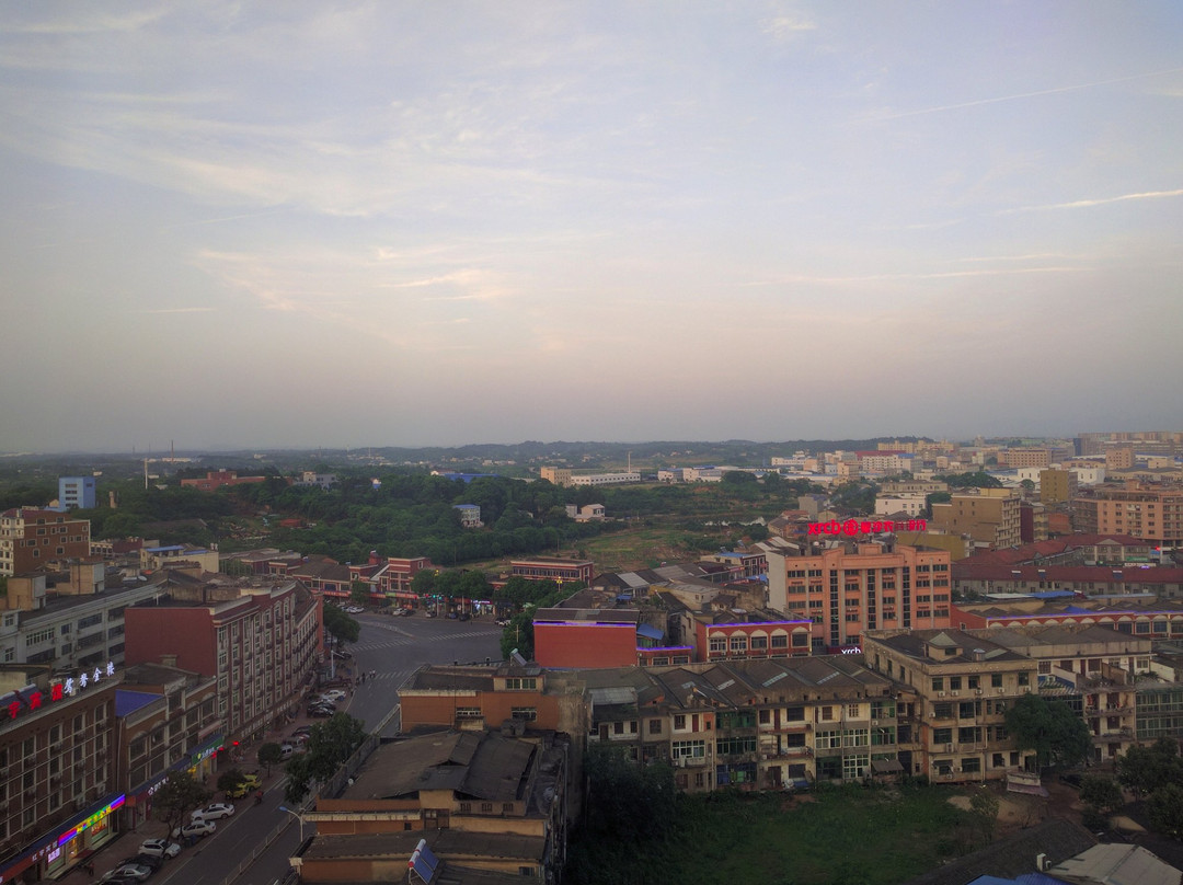 花港国际大酒店主图