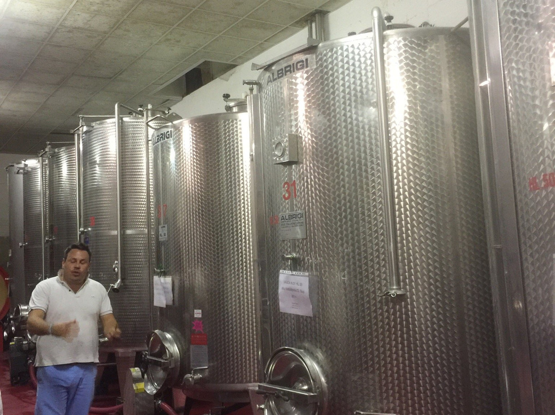 Azienda Agricola Meroni景点图片