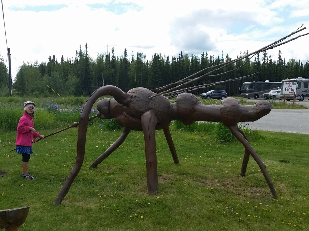 The Knotty Shop-Salcha必去景点