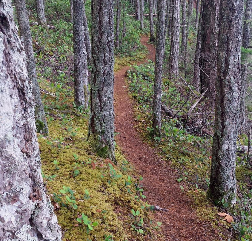 Mount Geoffrey Escarpment Provincial Park景点图片