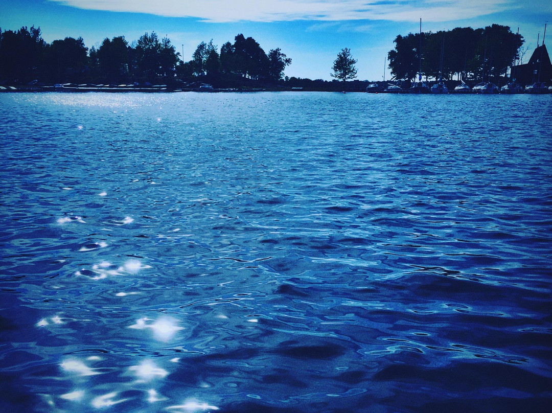 Bell Park-Sudbury必去景点