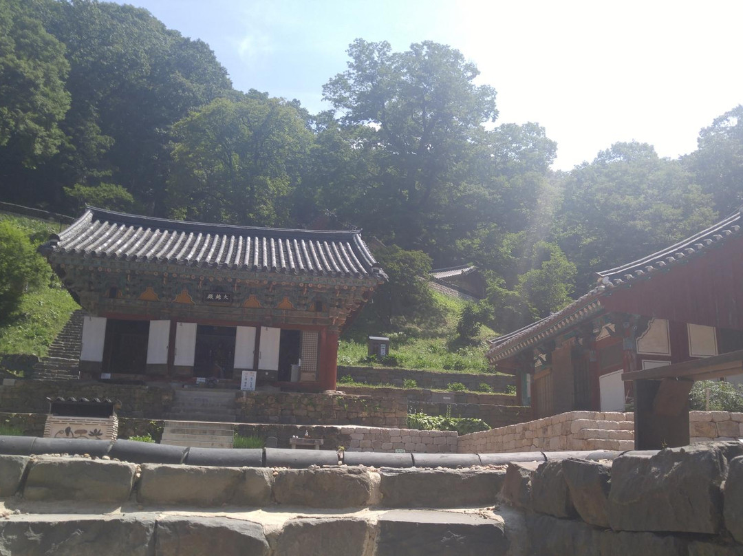 Janggoksa Temple-青阳郡必去景点