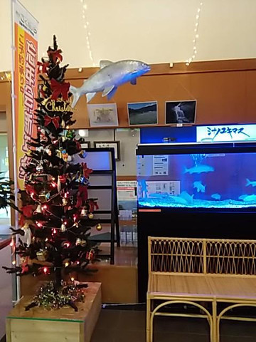 Takimi no Yu-南相木村必去景点