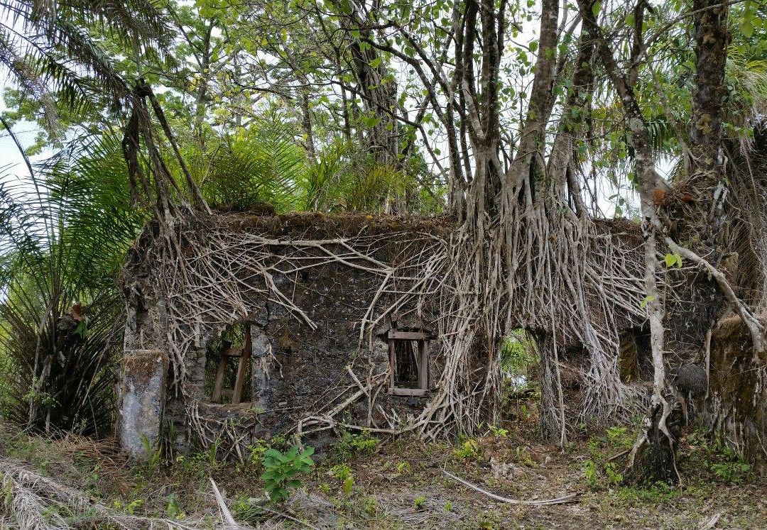 Bunce Island-弗里敦必去景点