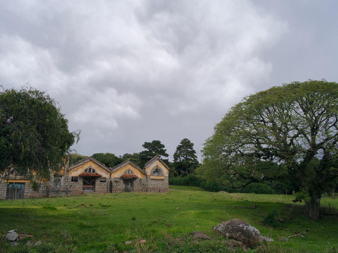 Matadouro São Geraldo