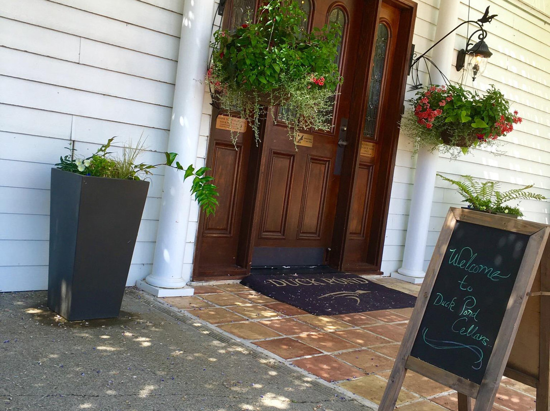 Duck Pond Cellars-Dundee必去景点