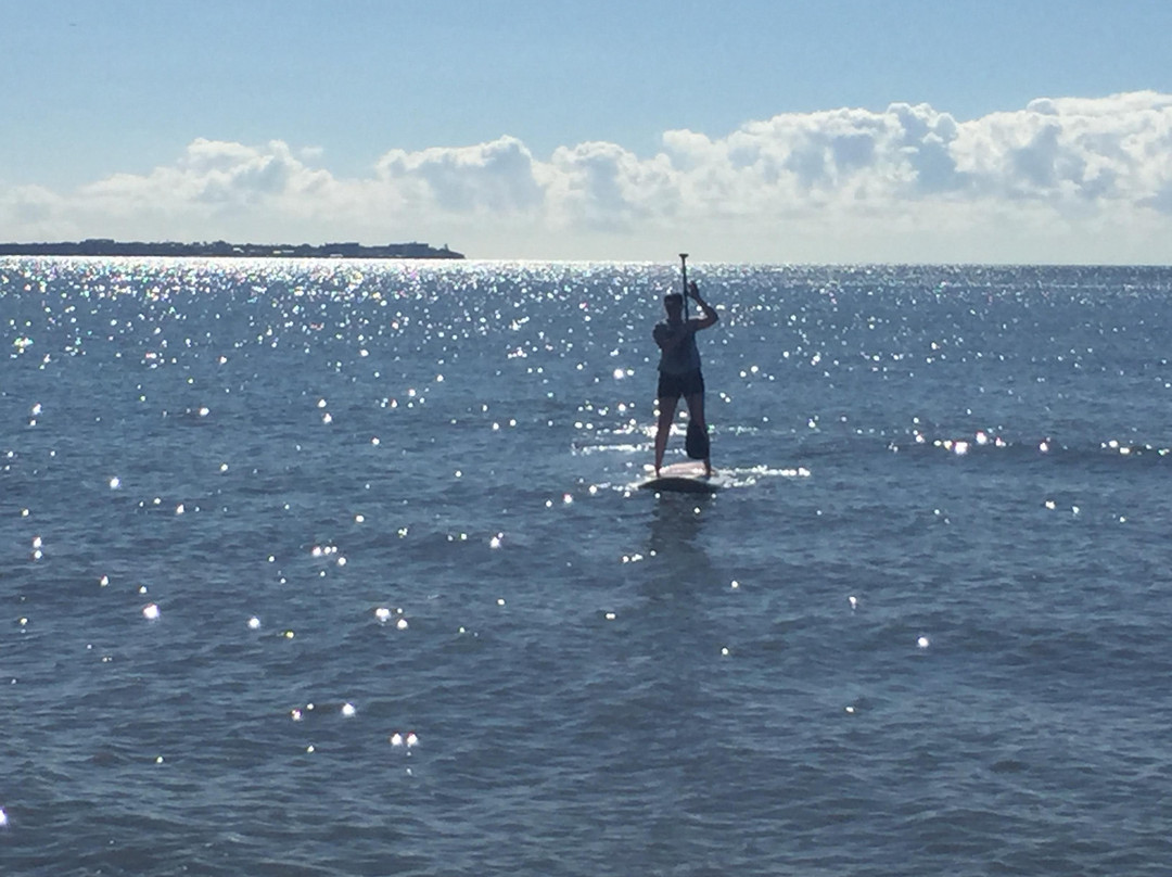 Surf Connect Wind and Kitesurfing School-布里斯班必去景点