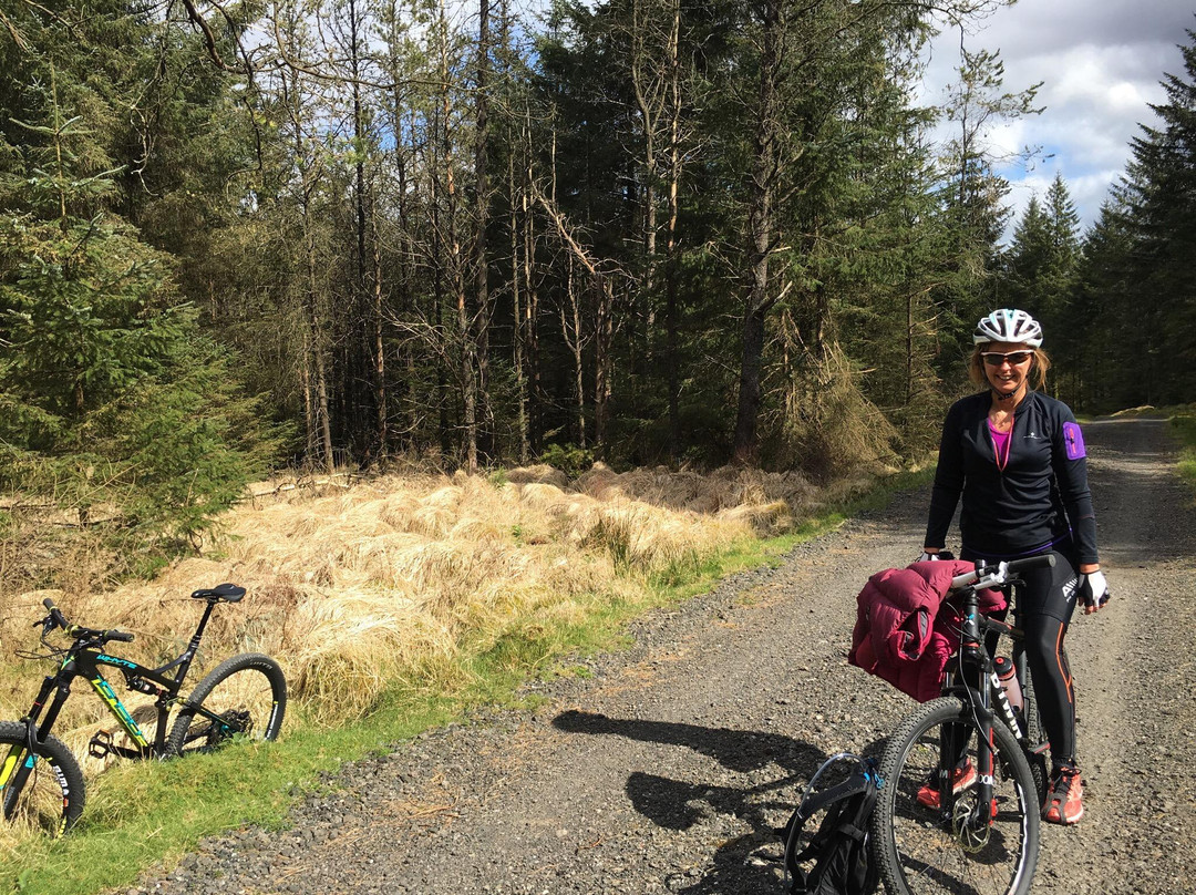 Davagh Forest Trails景点图片
