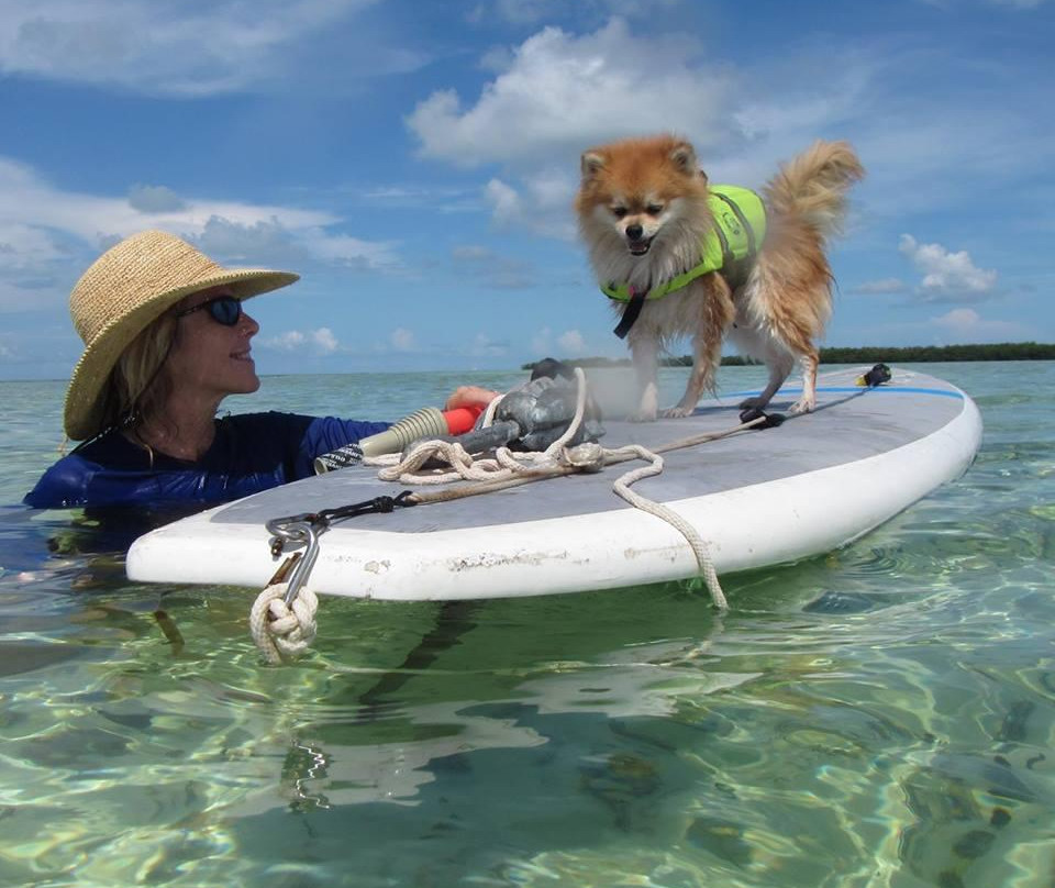 Florida Keys Paddleboards-Summerland Key必去景点