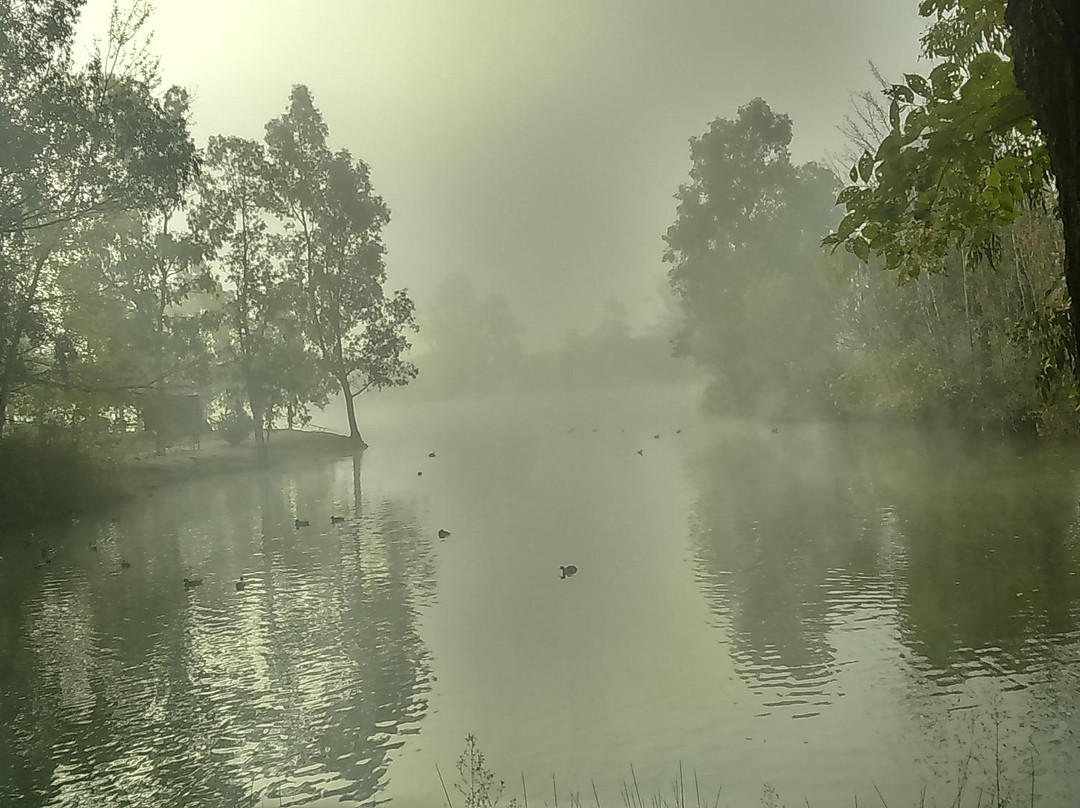 Parque Tierno Galvan-圣马丁德拉维加必去景点