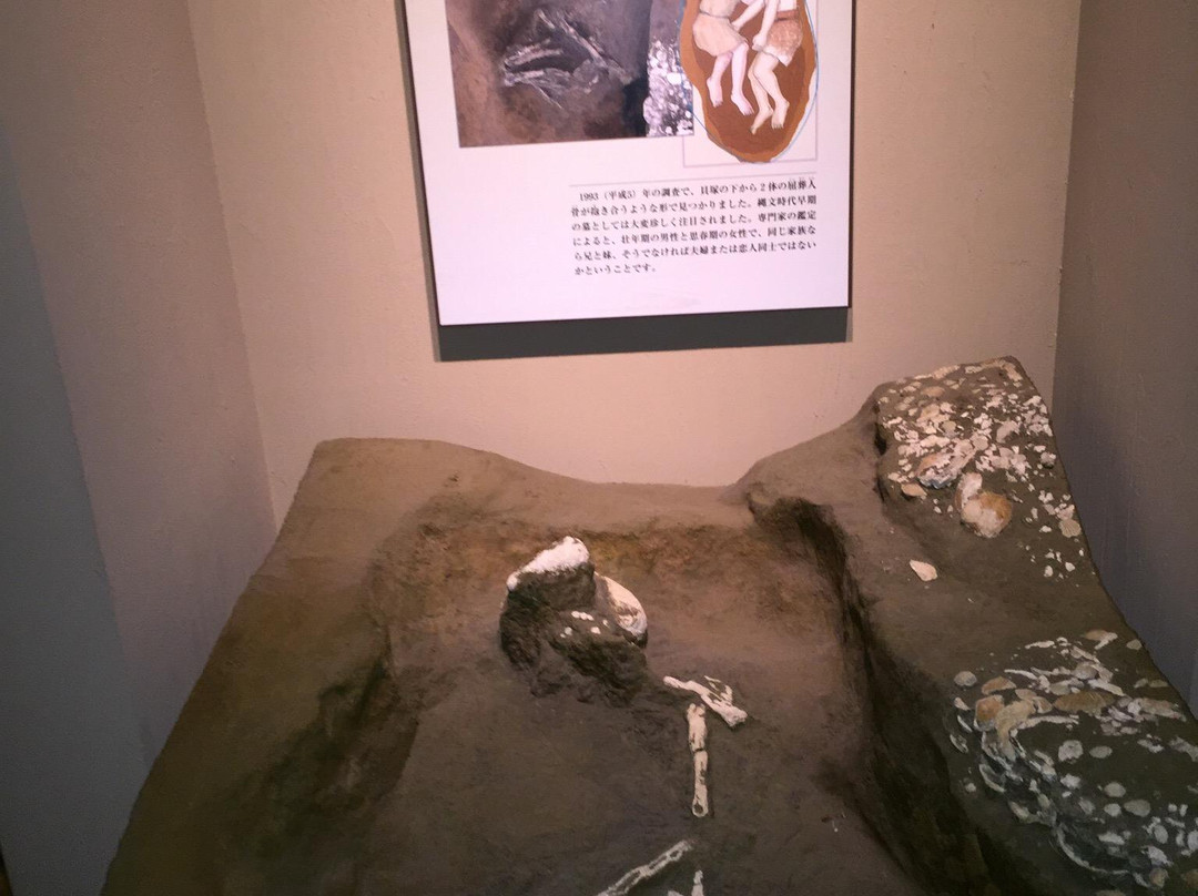 Tobinodai Historic Park Museum-船桥市必去景点