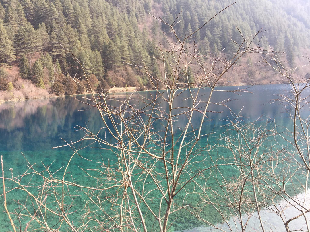 老虎海景点图片