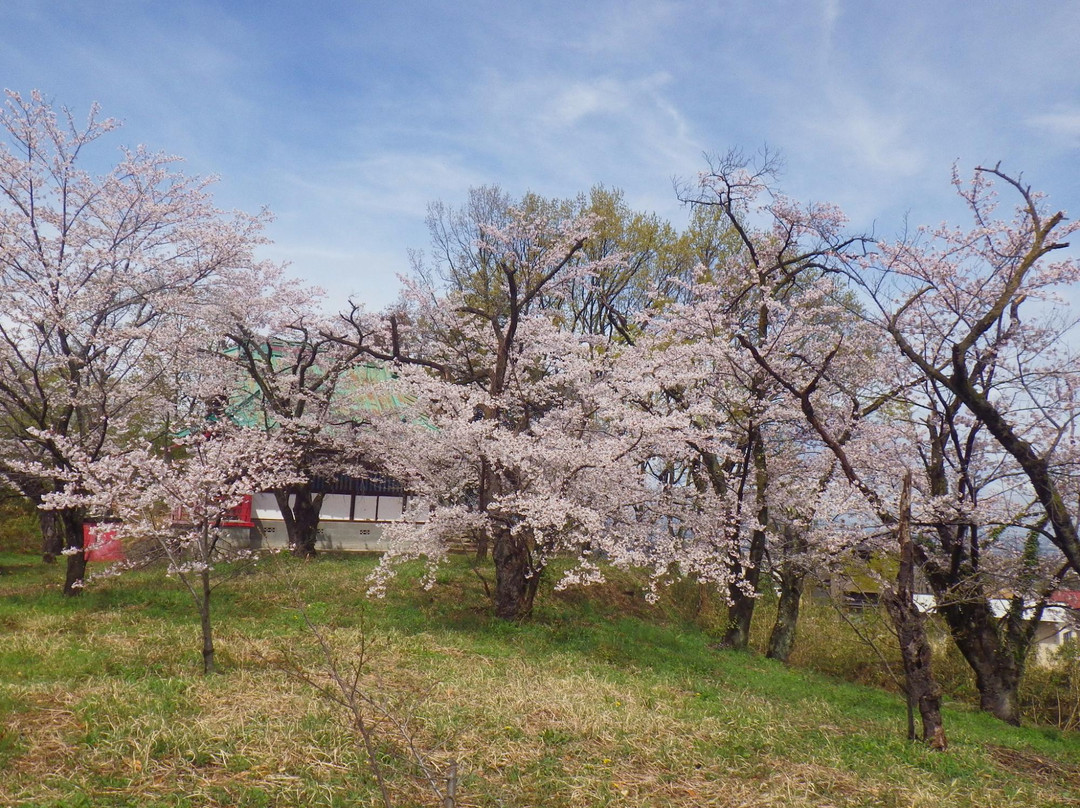 Shonoki Shrine景点图片