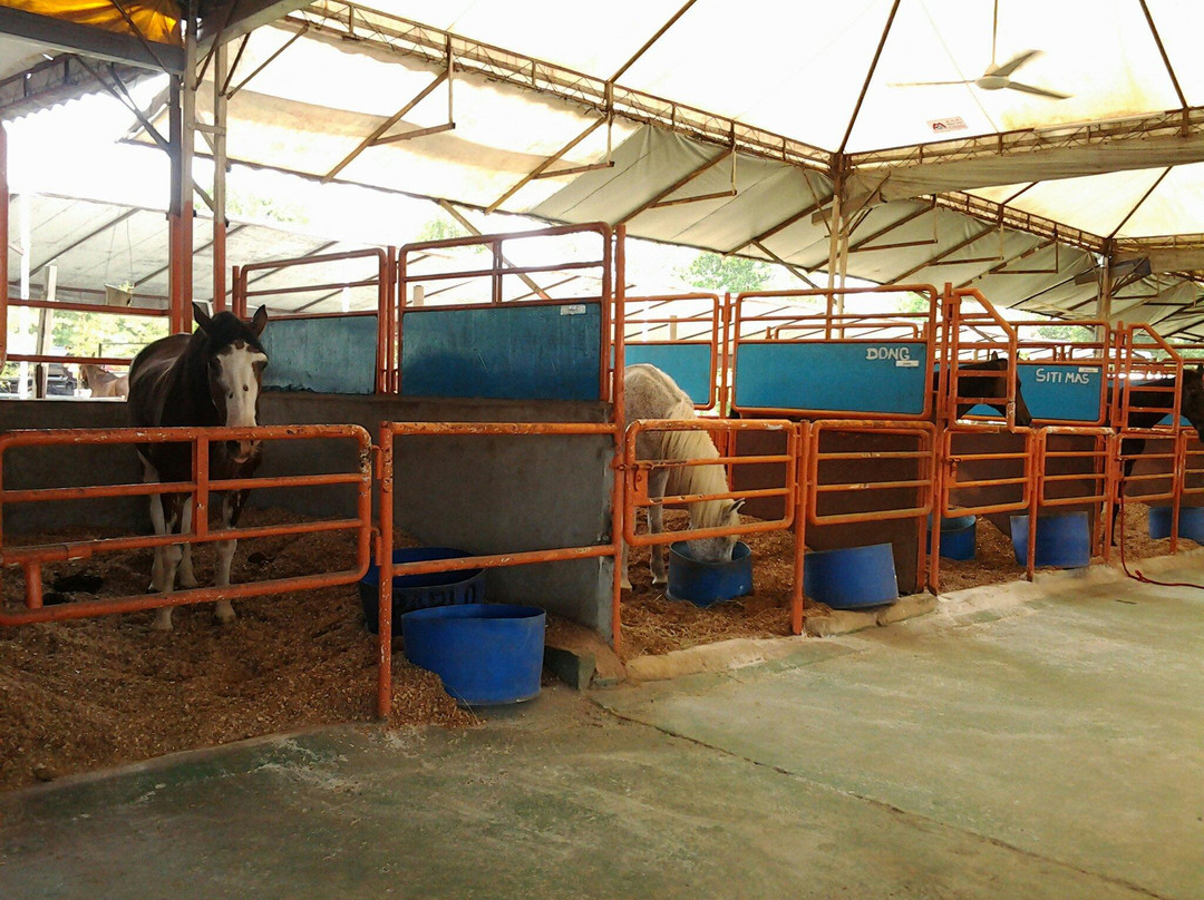 Denai Alam Riding & Recreation Club (DARC)景点图片