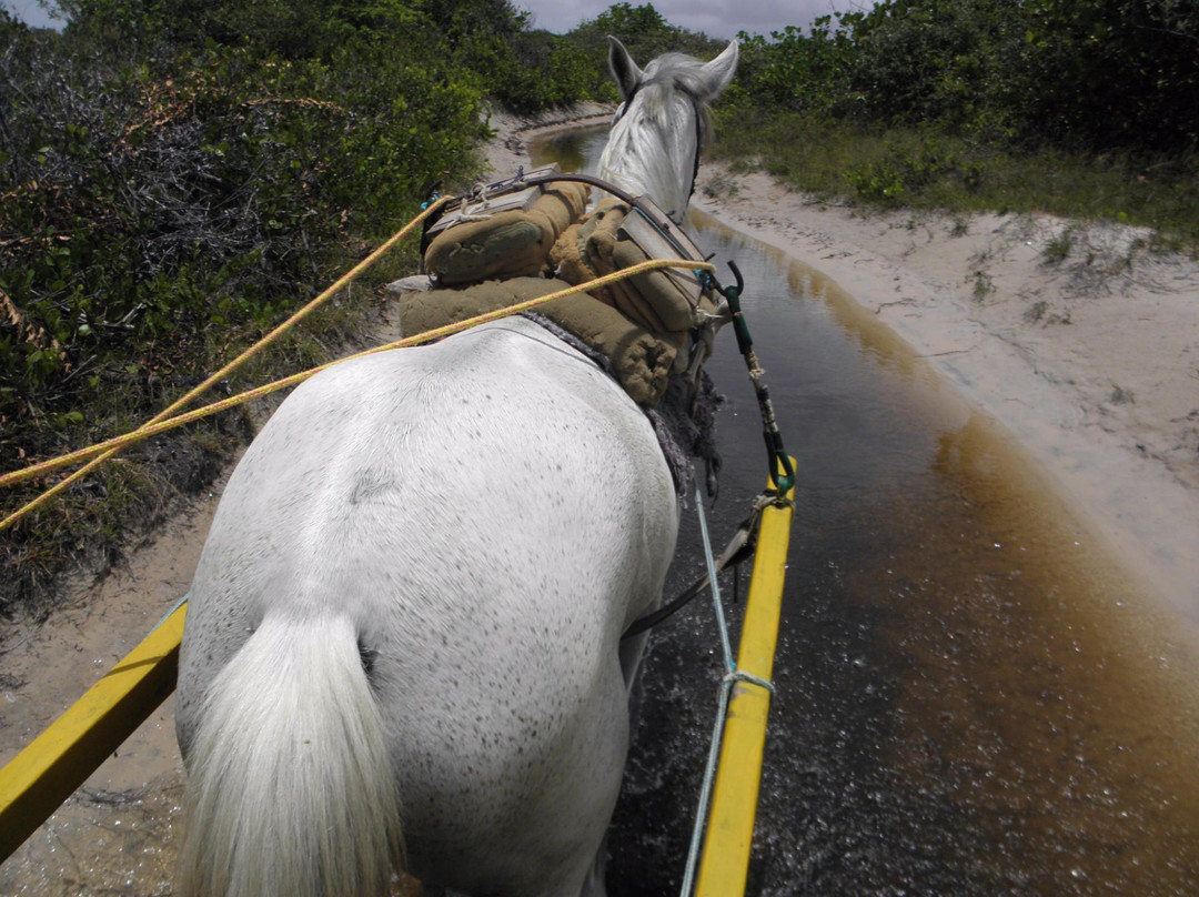 Lagoa da Princesa-Maracana必去景点