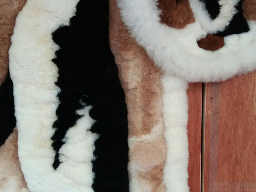 Centro Artesanal-蓬塔阿雷纳斯必去景点