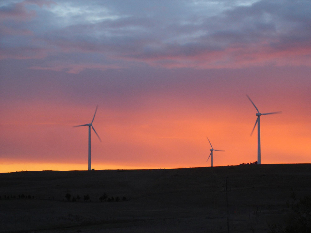 Grabben Gullen旅游景点-Crookwell Wind Farm