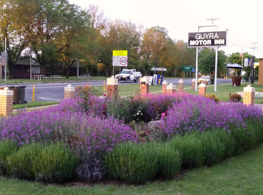 Guyra Motor Inn主图