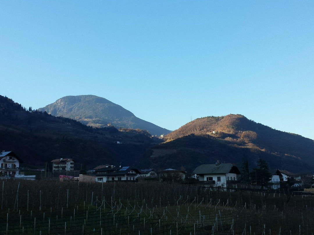 Hotel Traubenheim主图