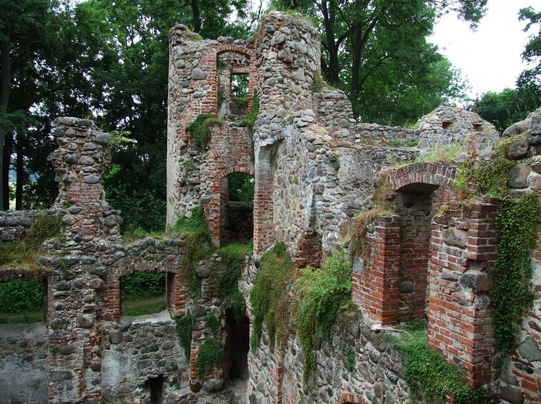 Burgruine Veste Landskron景点图片