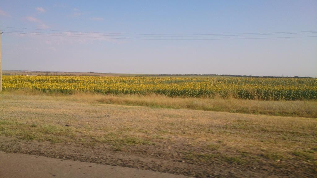 The First Ploughmen Land Tazinskaya Monument景点图片