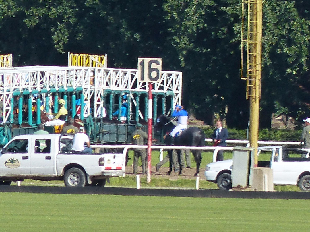 Hipodromo de San Isidro景点图片