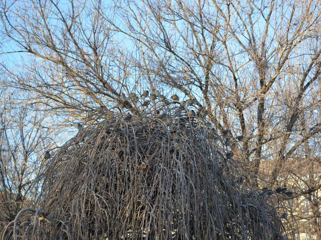 Monument Rabochiy S Vintovkoi-阿斯特拉罕必去景点