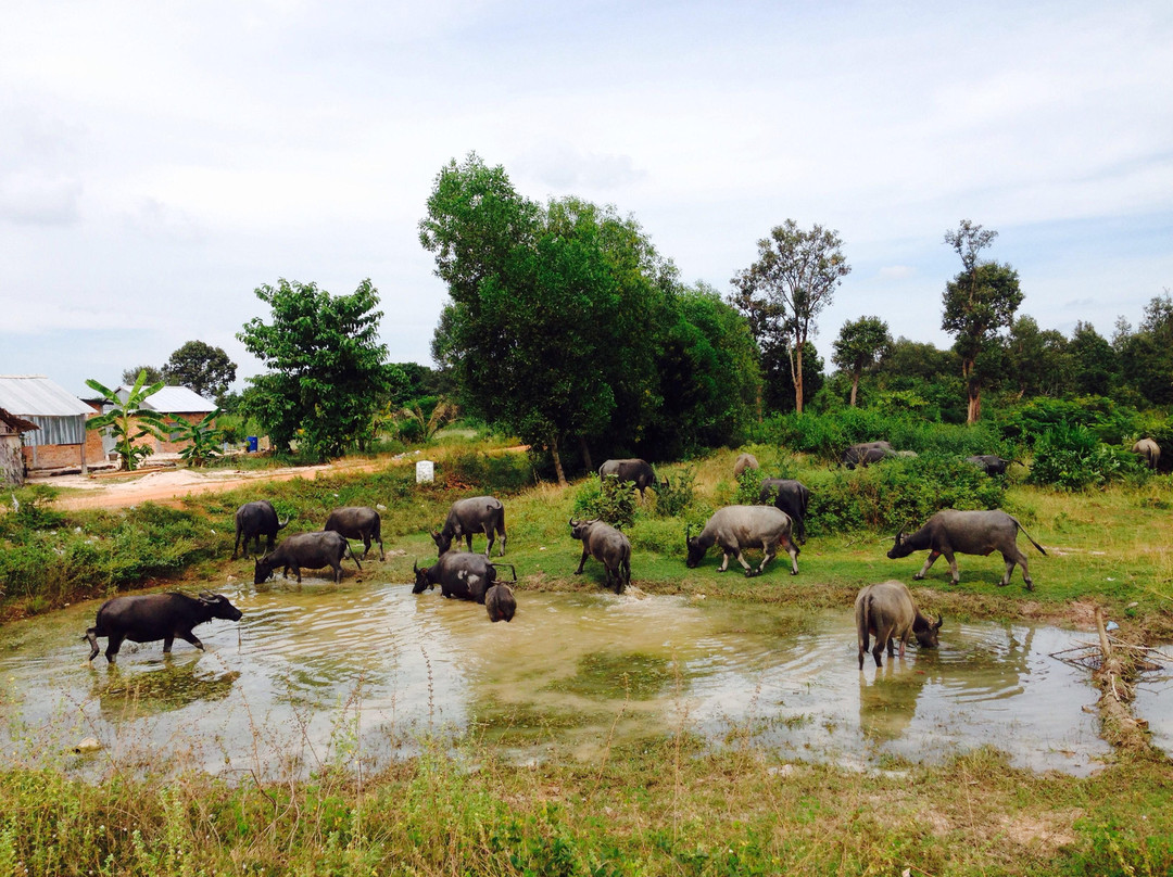 Siem Reap Palace Tour-暹粒必去景点