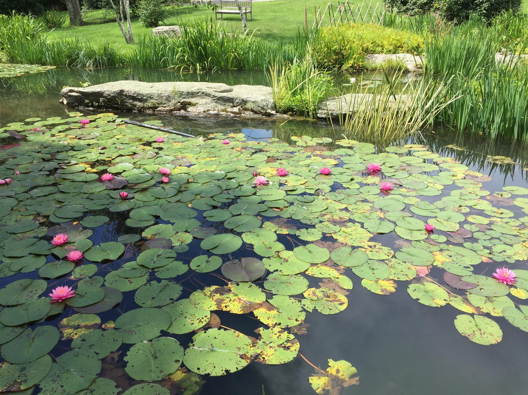 Stonecrop Gardens景点图片