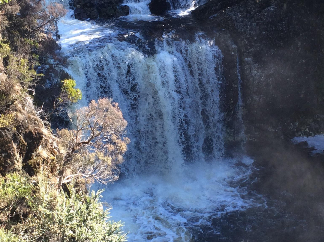 Play A Round in Tassie Day Tours-伯尼必去景点