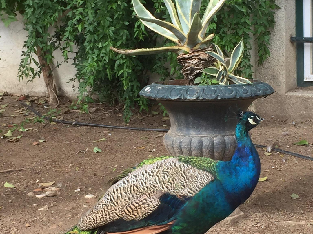 Palacio de Dom Manuel-埃武拉必去景点