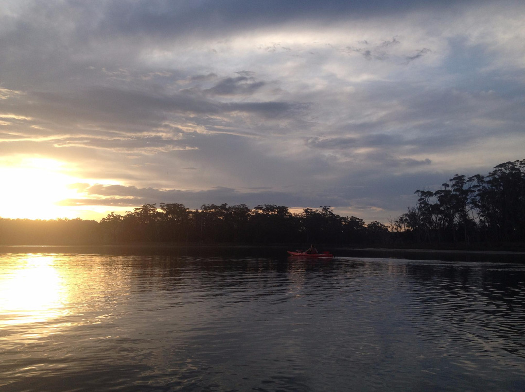 Bay and Beyond Sea Kayak Tours景点图片