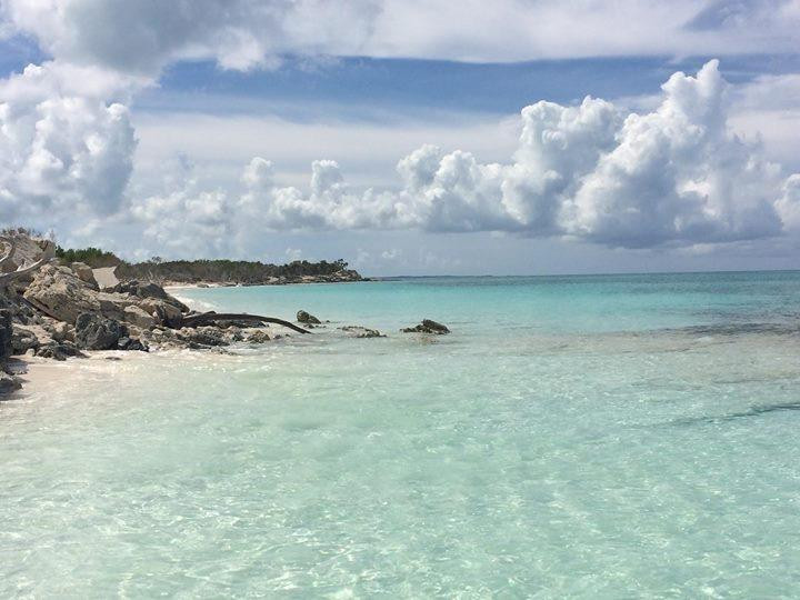 Big Blue Collective-普罗维登西亚莱斯必去景点