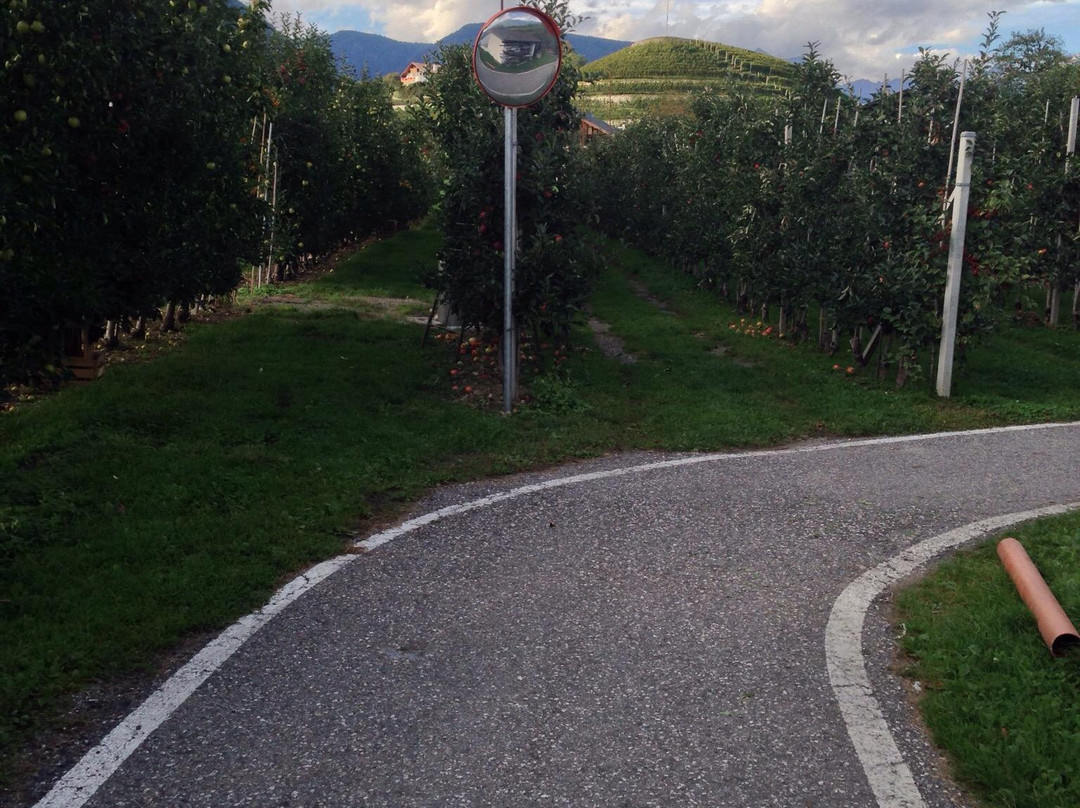 Pista ciclabile Alta Val d’Isarco景点图片
