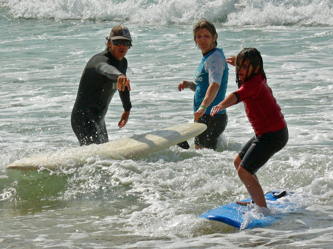Sharkpool Surf School景点图片