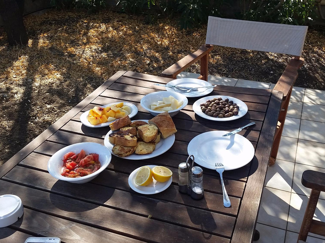 Art Lesvos Villas