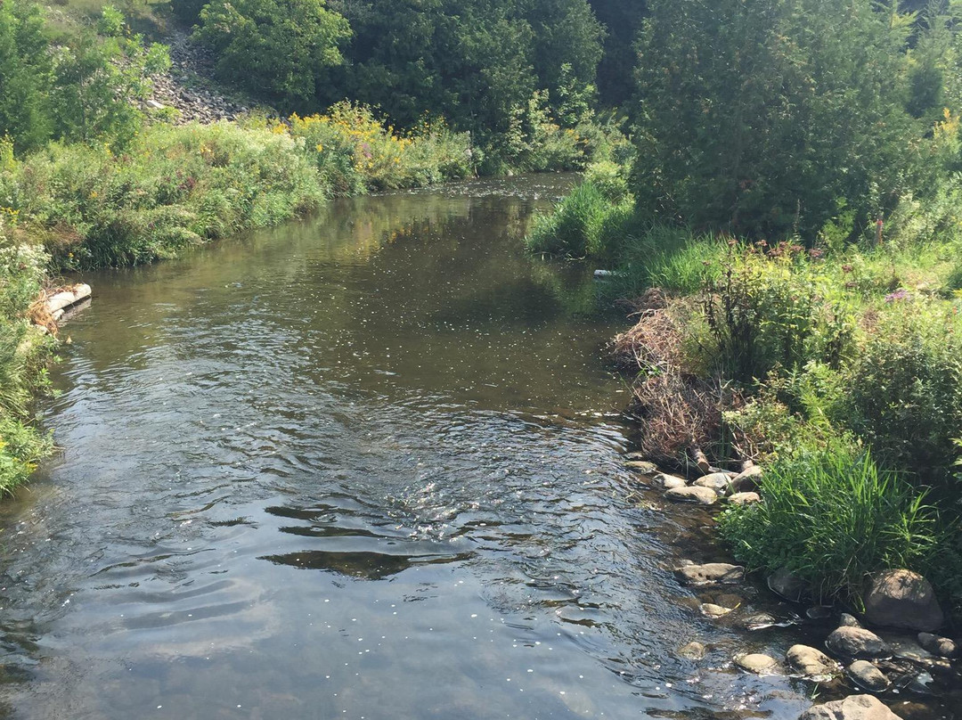 Upper Credit Conservation Area-Alton必去景点