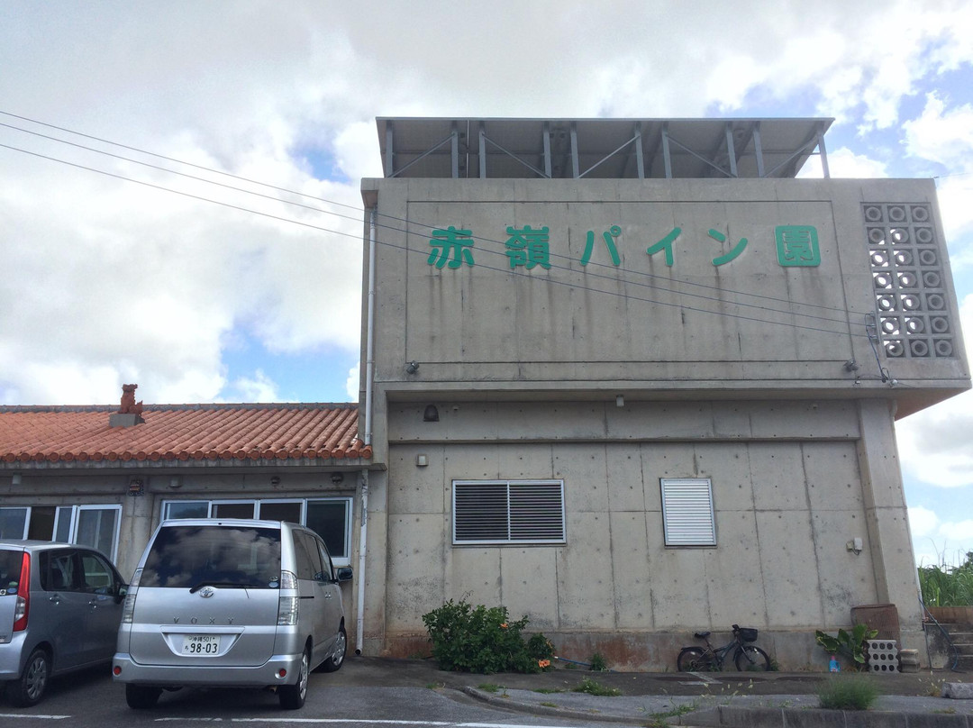 Akamine Pineapple Garden景点图片
