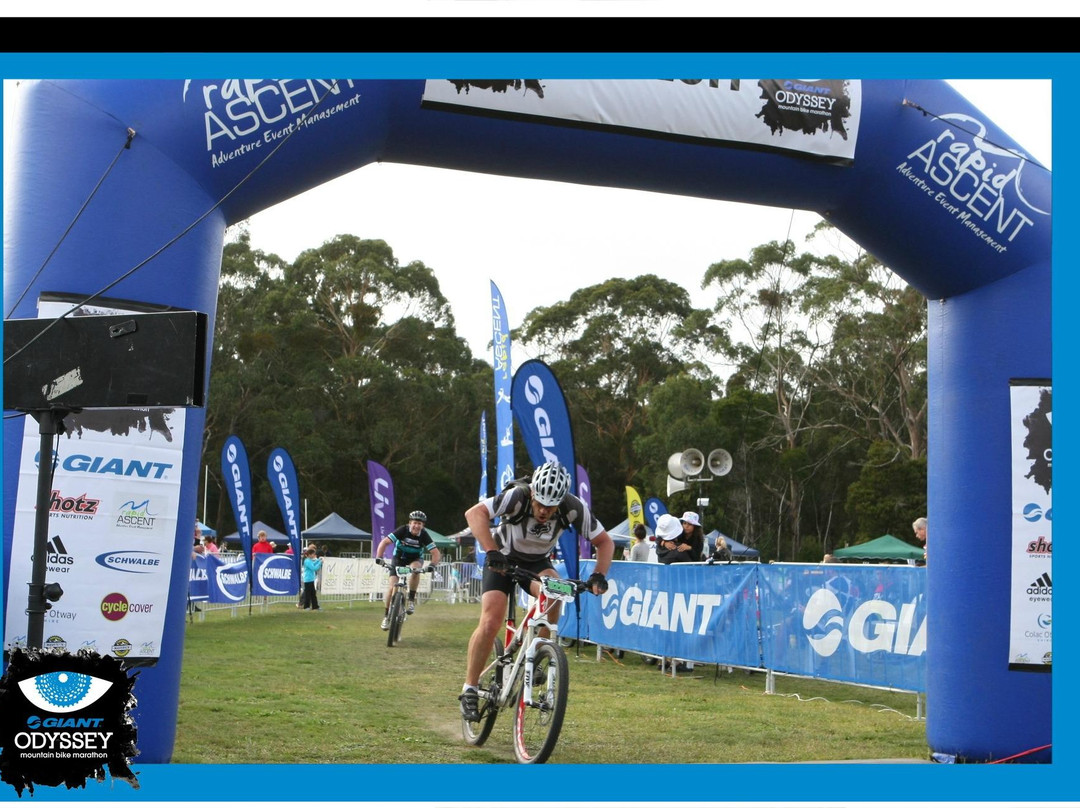 Forrest Mountain Bike Trails-Forrest必去景点