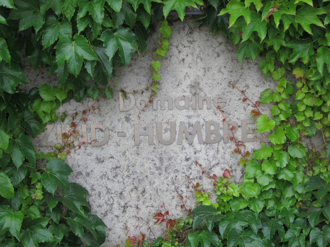 Domaine Zind-Humbrecht景点图片