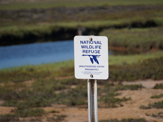 Tijuana River National Estuarine Research Reserve-Imperial Beach必去景点