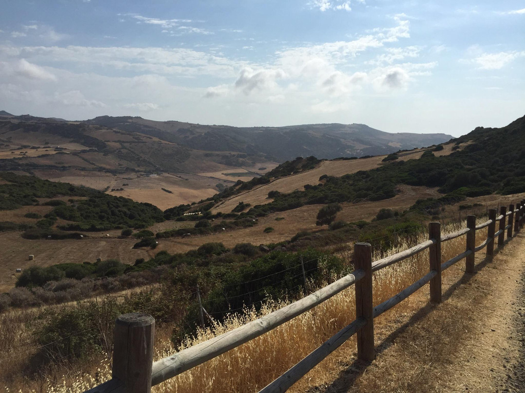 Muraglia e Villaggio Nuragico di Monte Elias-Tergu必去景点