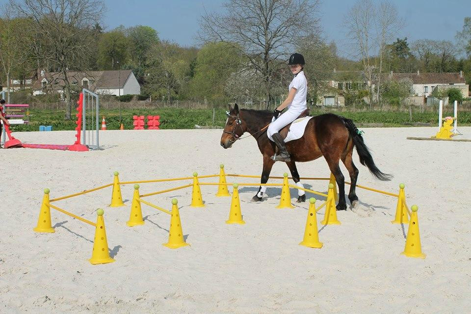 Centre Equestre Poney Club de Rambouillet景点图片