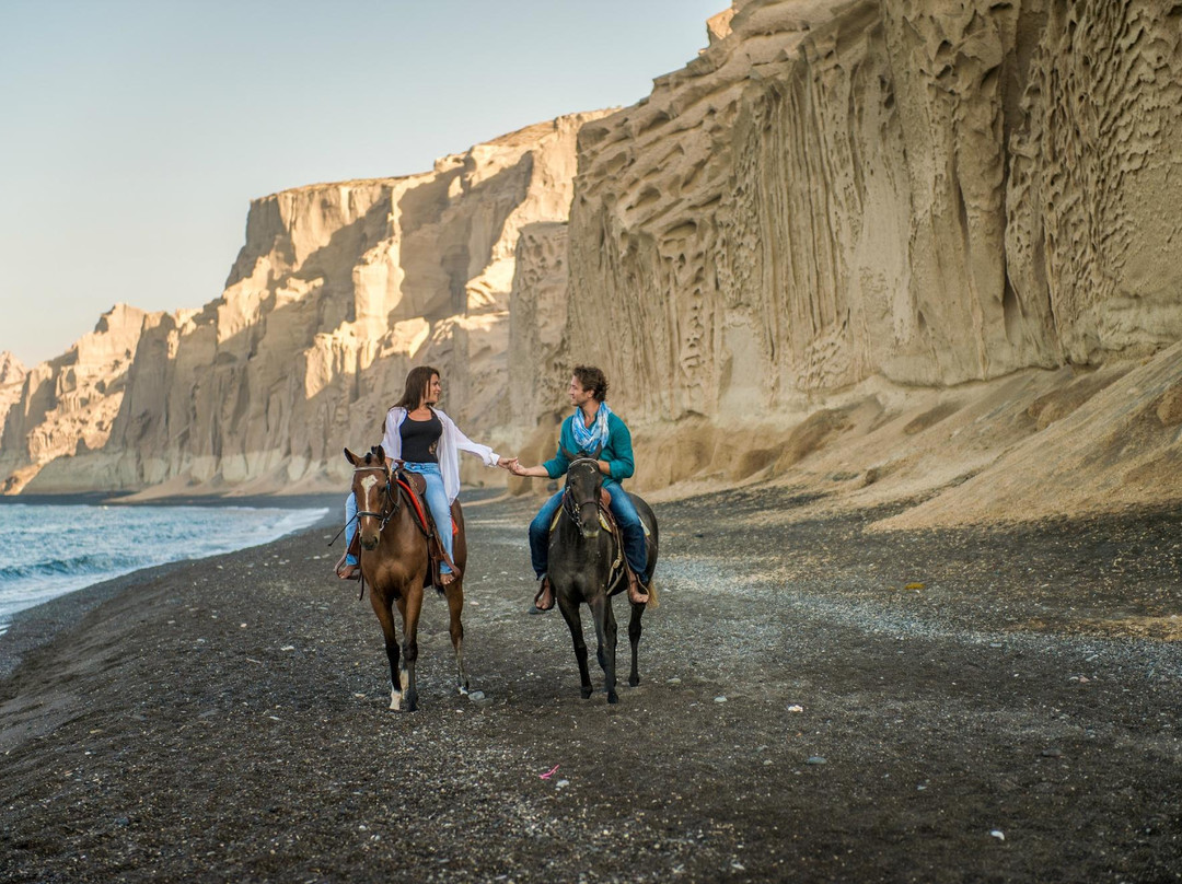 Santorini Horse Riding景点图片