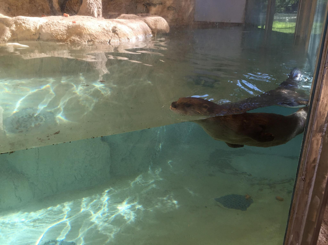 Lee Richardson Zoo-Garden City必去景点