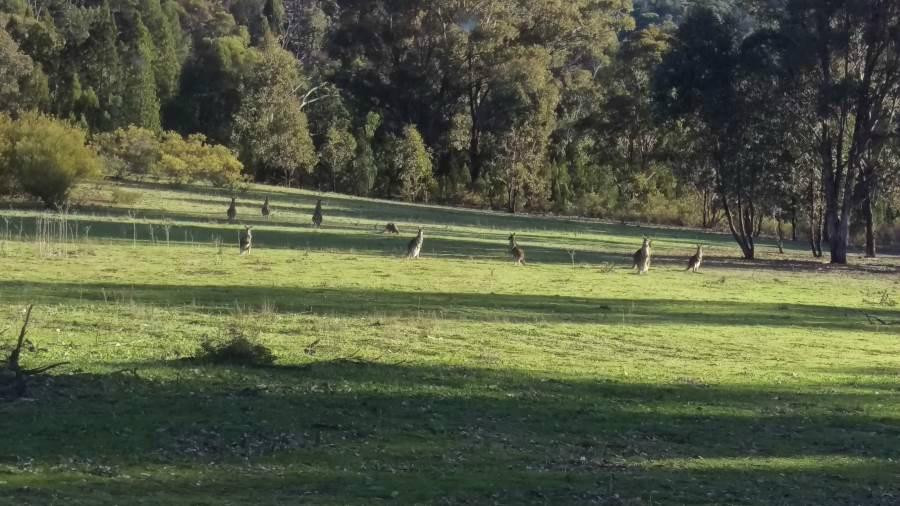 Nangar National Park