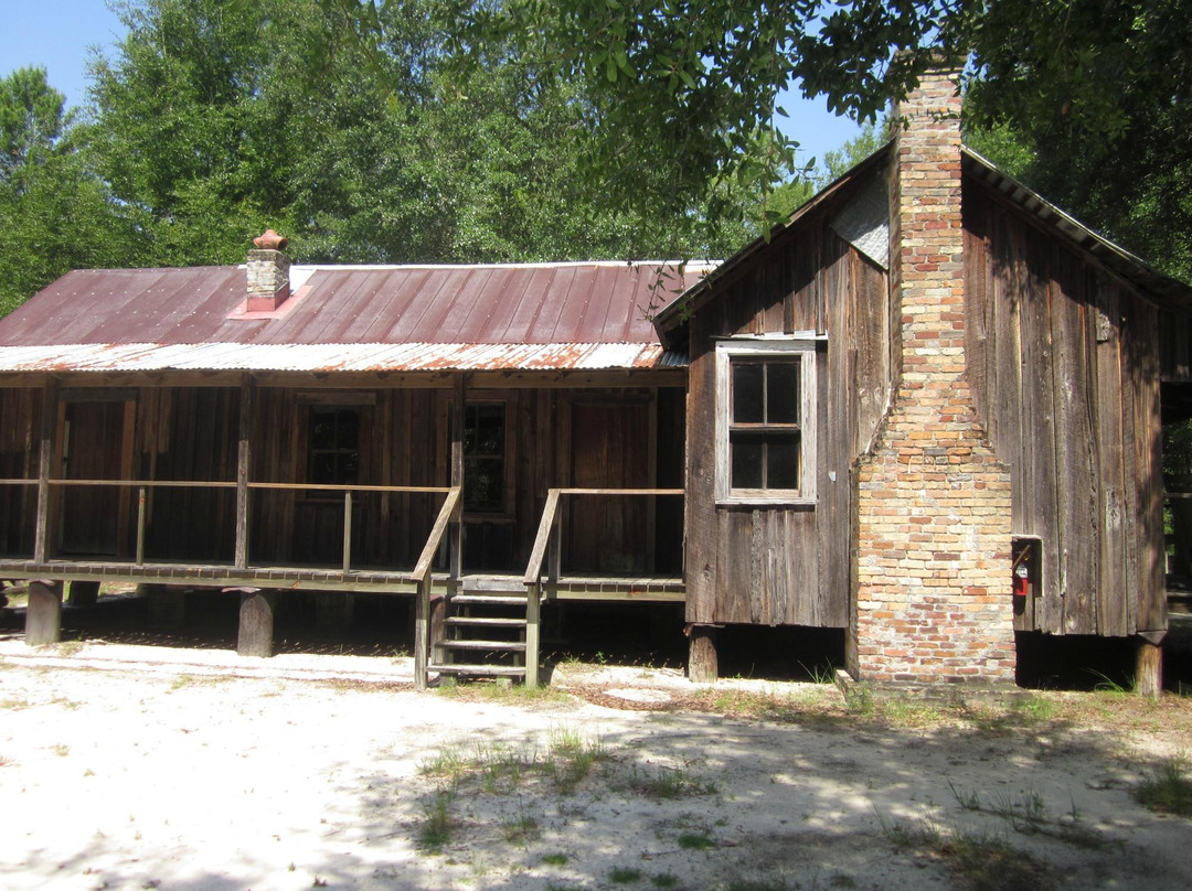 Silver Springs State Park-Silver Springs必去景点