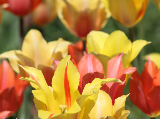 Burnside Farms-Haymarket必去景点