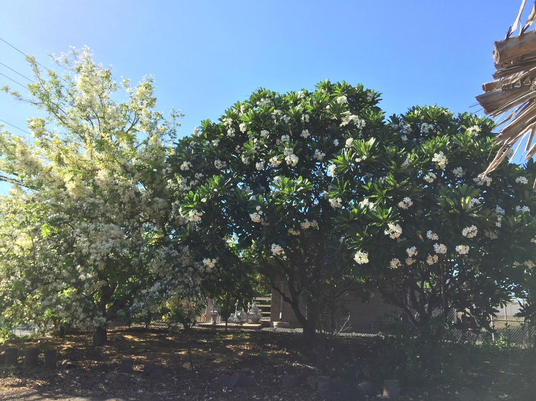 Yee's Orchard & Fruit Stand-基黑必去景点