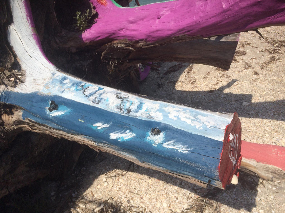 Blind Pass Beach-恩格尔伍德必去景点